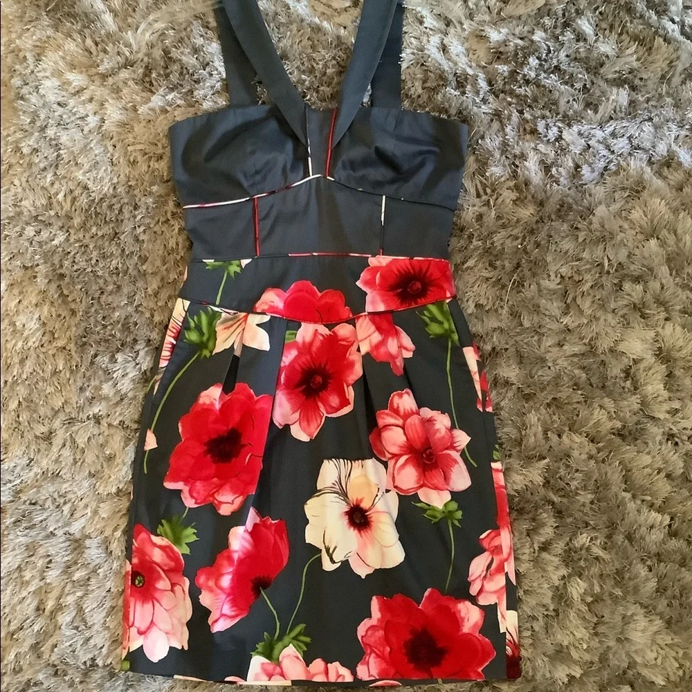 Anthropologie Hollyhock Dress by Sine - Picture 5 of 10